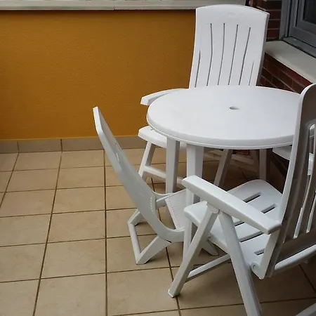 Chevere Turquesa * אוביידו