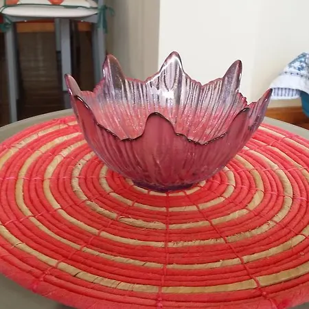 Chevere Turquesa